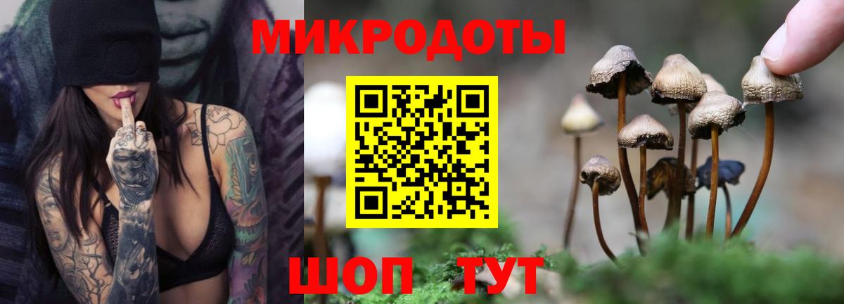 Псилоцибиновые грибы мицелий Избербаш